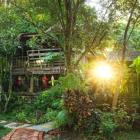 تشوم تونغ Tongluang Inthanon Homestay โต้งหลวงอินทนนท์โฮมสเตย์ المظهر الخارجي الصورة
