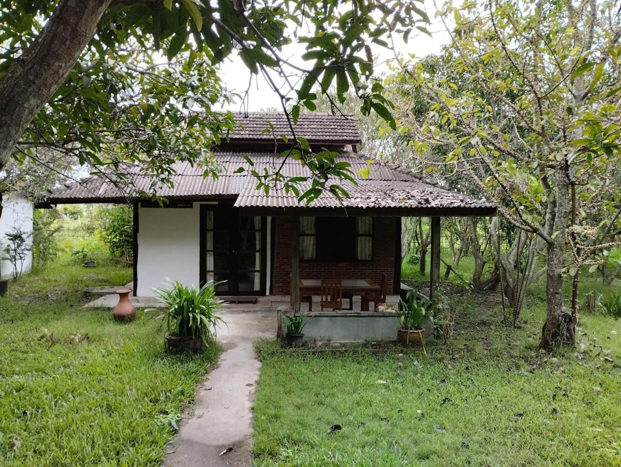 تشوم تونغ Tongluang Inthanon Homestay โต้งหลวงอินทนนท์โฮมสเตย์ الغرفة الصورة